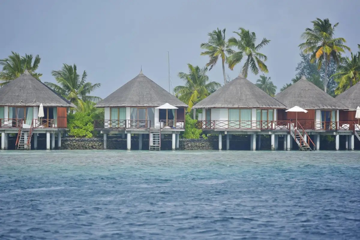 SAFARI ISLAND