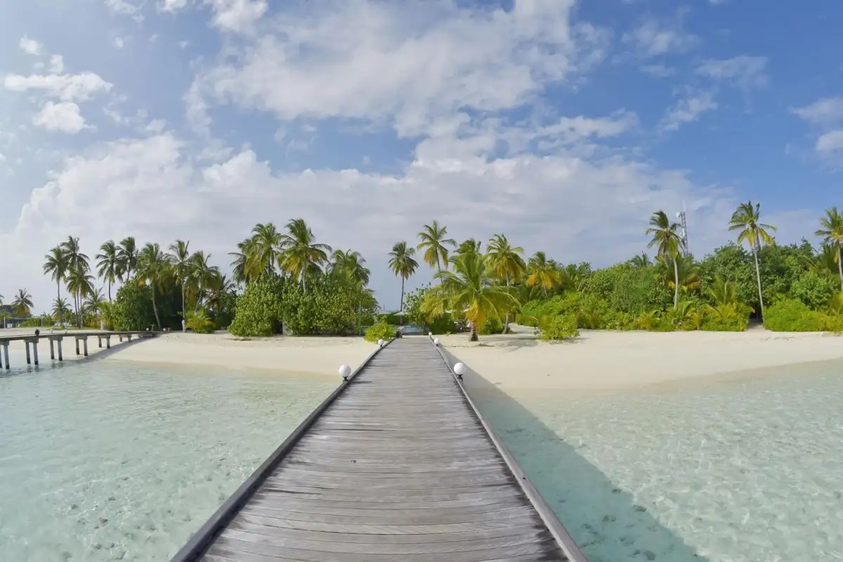 SAFARI ISLAND